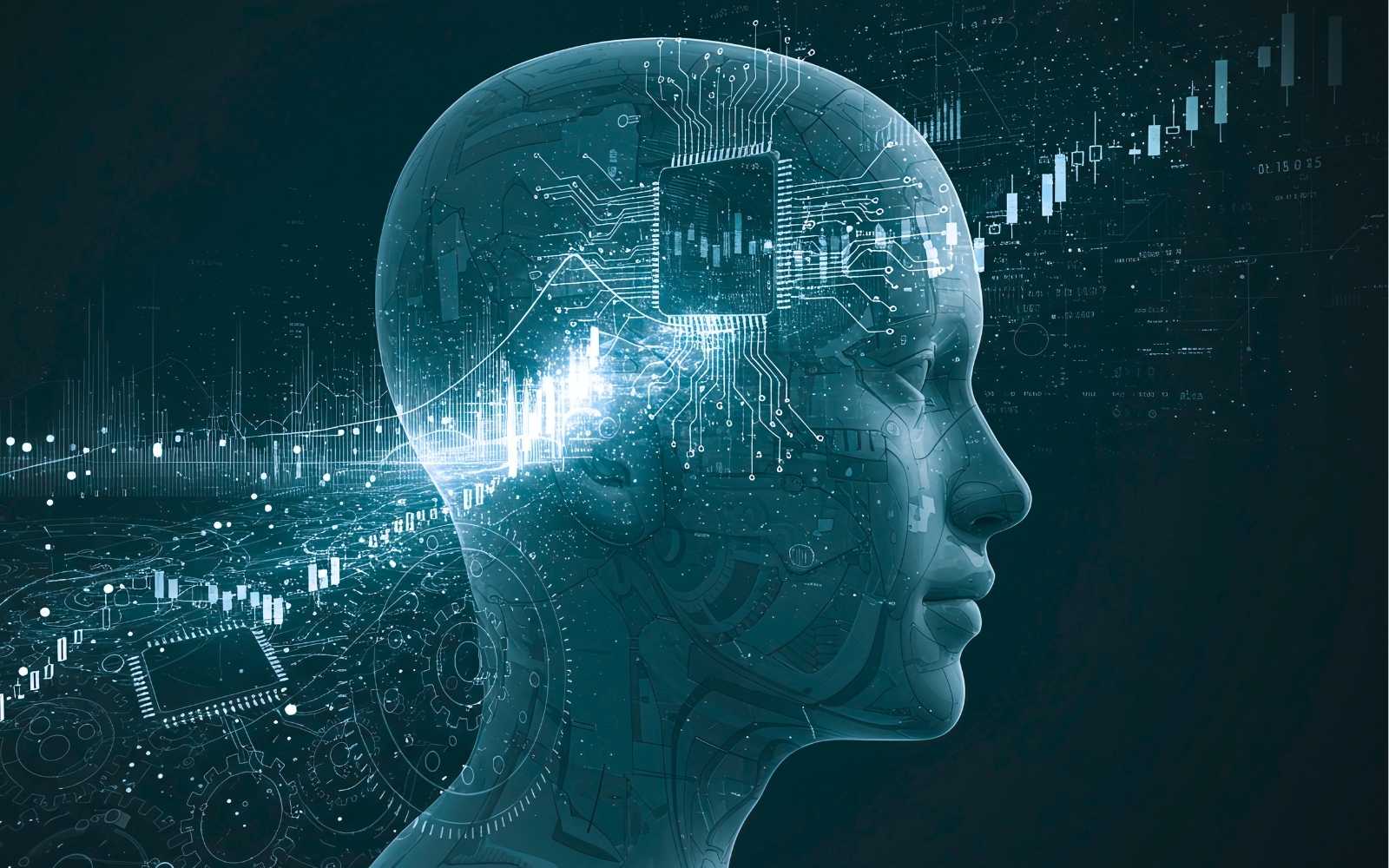 Welcome to TT Solutions