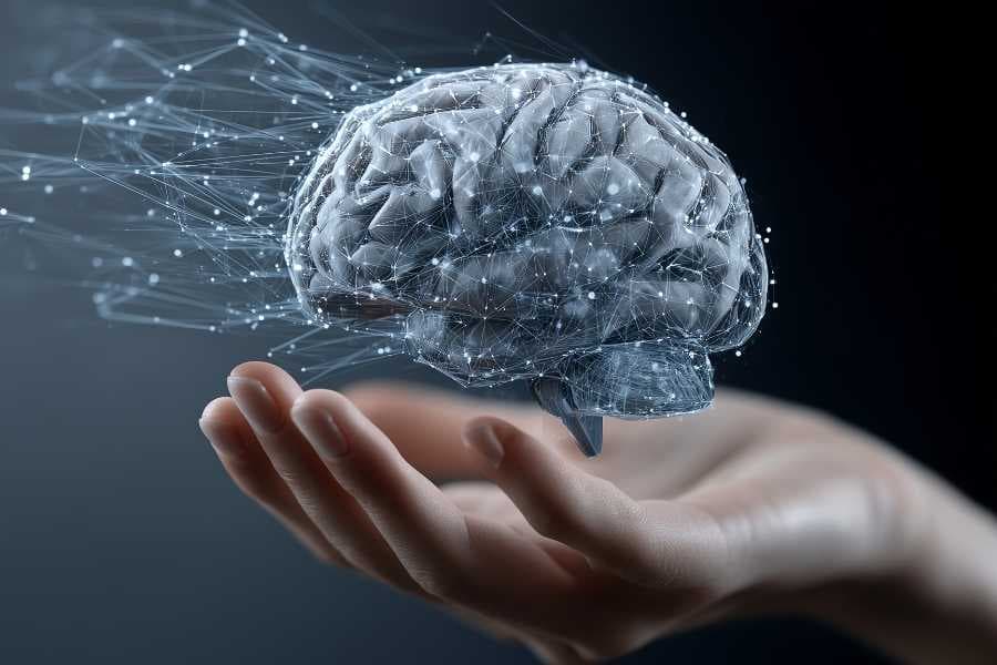 Virtual CTO & IT Advisory